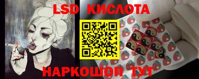 мдпв Камышлов