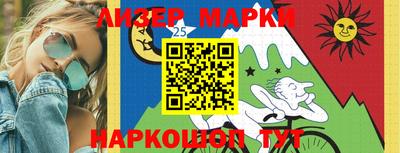 мдпв Камышлов