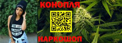 индика Кандалакша
