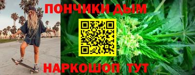 индика Кандалакша