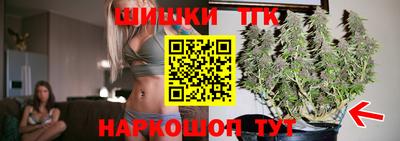 индика Кандалакша