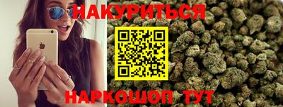 мдпв Камышлов