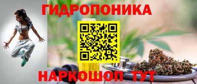 индика Кандалакша